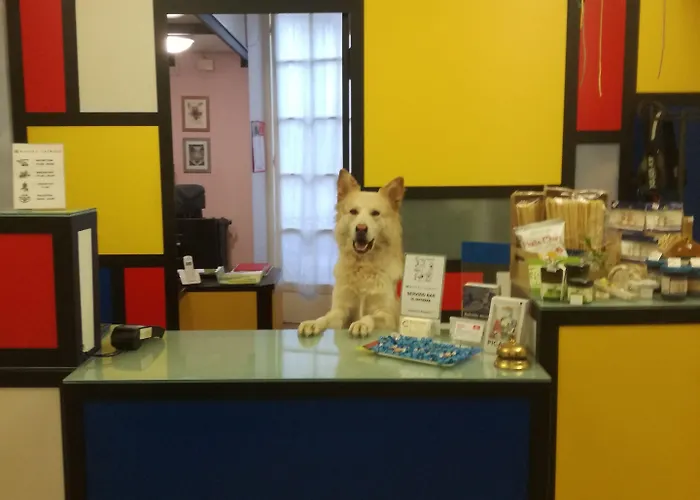 Cairoli Hotel Genova